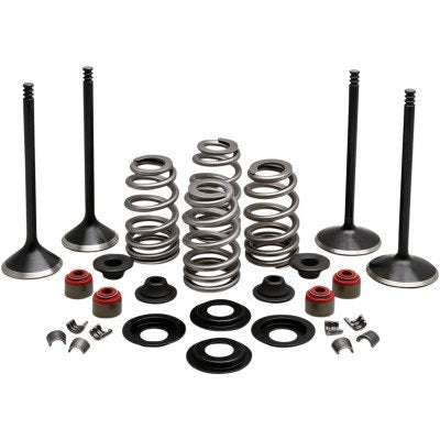 Kibblewhite 20-23150 Black Diamond Stainless Steel Valve Kit H-D Twin Cam 05-17