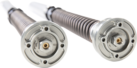 Ohlins FKR Fork Cartridge Kit for 2014-2025 Ducati 899 / 959 Panigale, Panigale V2 / V4 & Streetfighter V2 - Silver