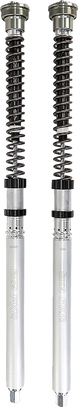 Ohlins FKR 222 Fork Cartridge Kit for 2019-2025 BMW S1000RR / M1000RR - Silver