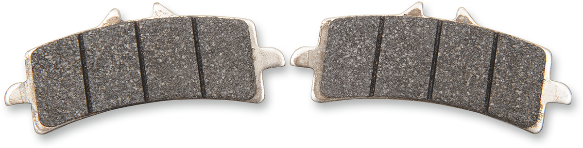 SBS DC Racing Dual Carbon Brake Pads for Select 1980-2025 Models