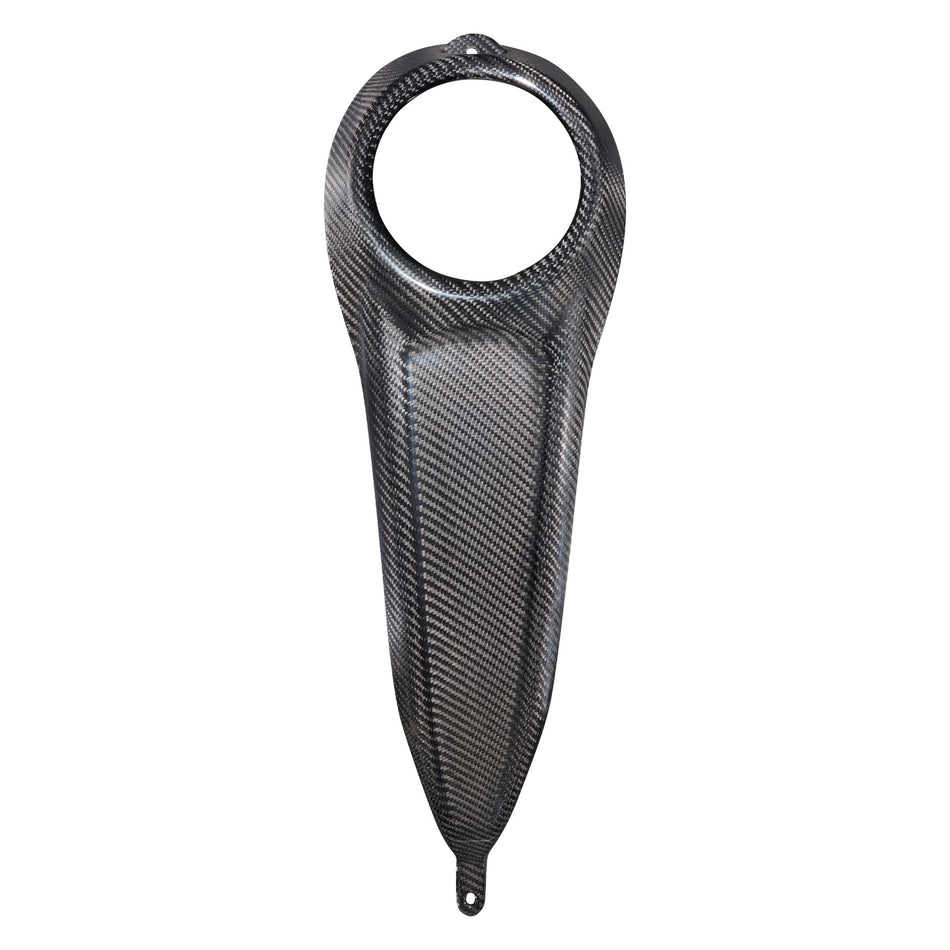 Arlen Ness Carbon Fiber Dash for 2024-2026 Harley Touring