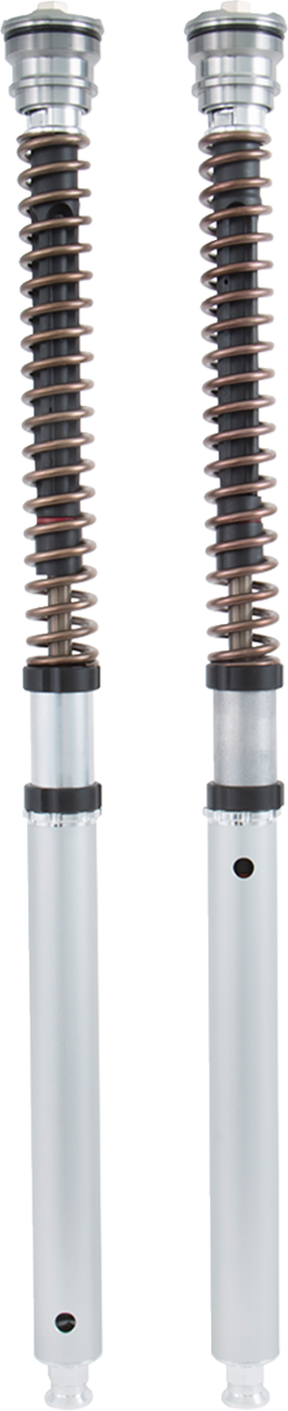 Ohlins FGK Road & Track 30 mm Fork Cartridge Kit for 2015-2018 BMW R1200R / R1200RS