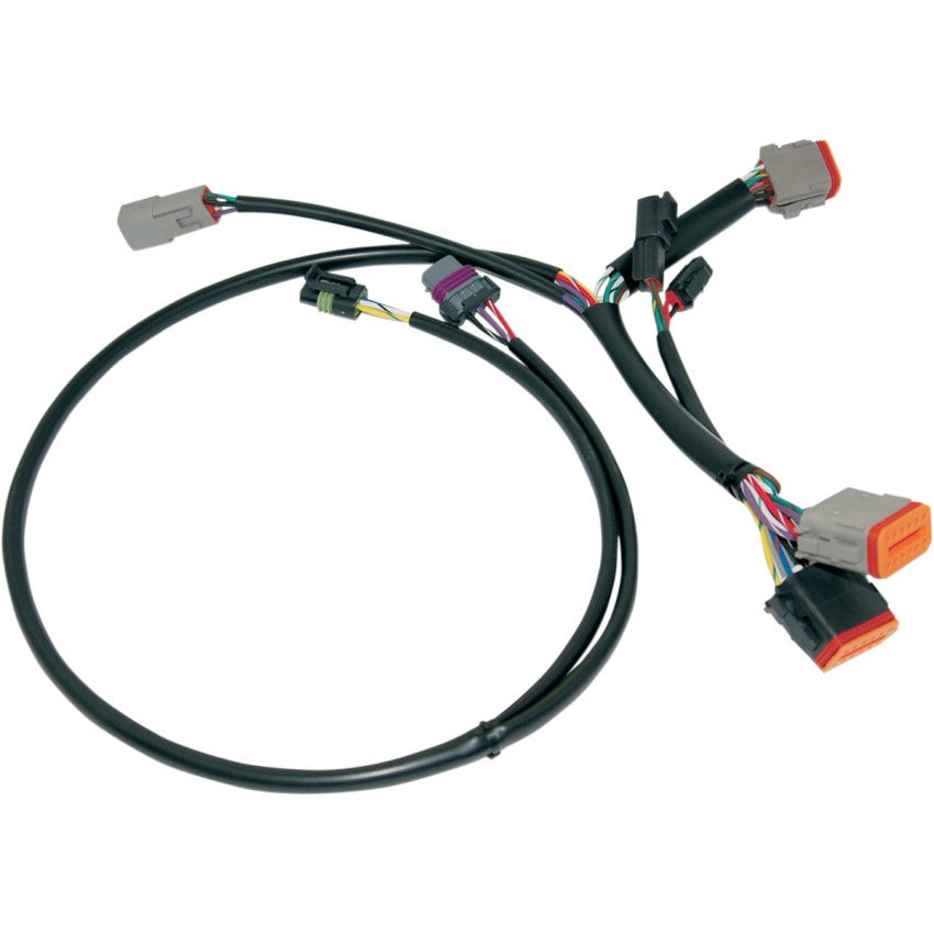 Namz Ignition Wiring Harness Harley-Davidson Touring 2001 W/ Crank And Cam Position Sensors