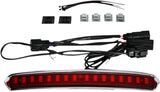 Custom Dynamics Lens LED High Mount Tour Pak Light Harley 14up