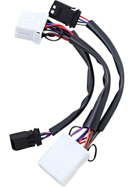 Custom Dynamics Wiring adapter for Dual Color Plasma Rods Harley Big Twin 96-17