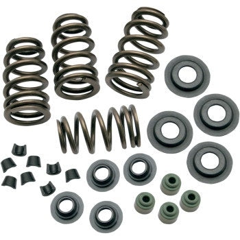 S&S 106-5909 Sidewinder .650" Valve Spring Kit Twin Cam 05-18 Sportster 04-20