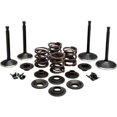 Kibblewhite 20-22250 Black Diamond Engine Steel Valve Kit Sportster XL 57-69